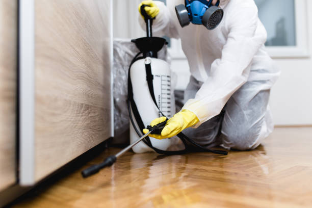 Best Affordable Pest Control Services  in Navy Yard City, WA