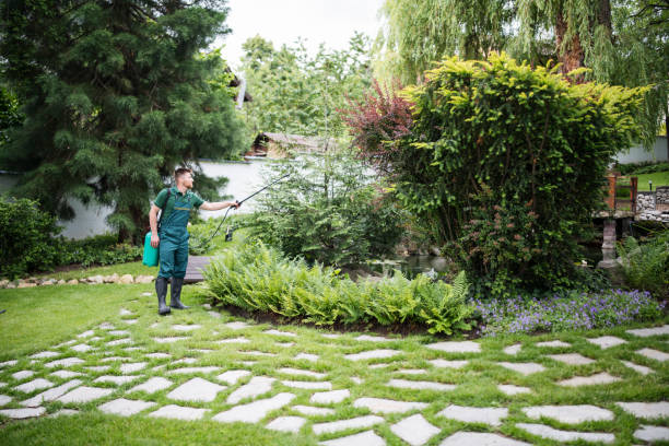 Wasp Removal Services in Navy Yard City, WA