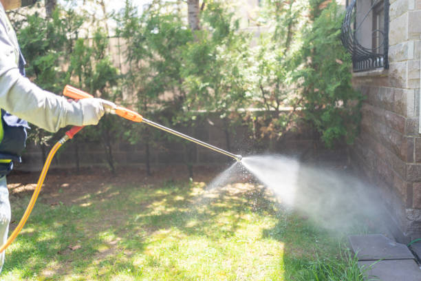 Best Cockroach Control Services  in Navy Yard City, WA