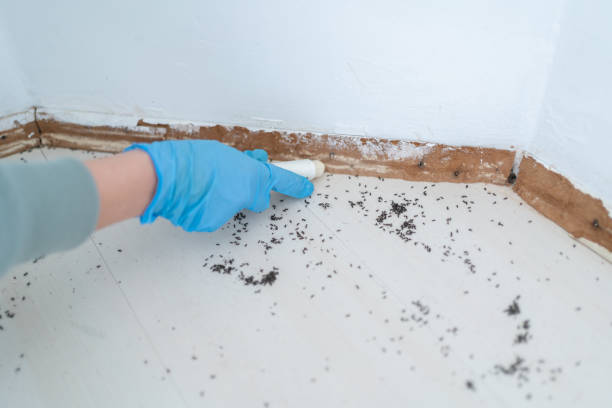 Pest Control Cost in Navy Yard City, WA